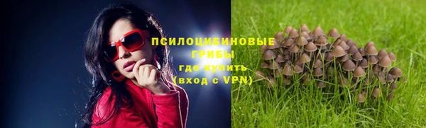 амф Липки