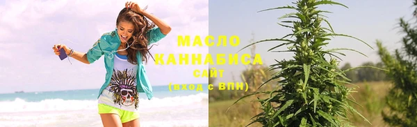 твердый Магас