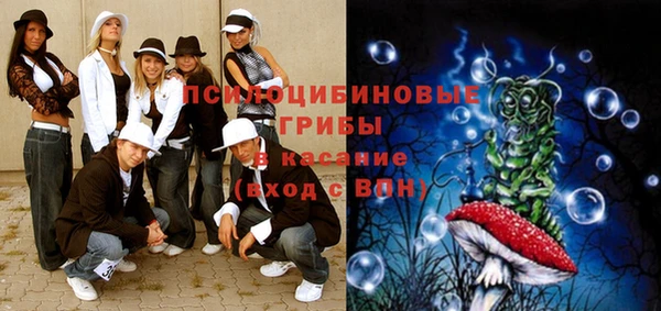 амф Липки