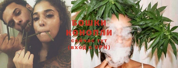 амф Липки