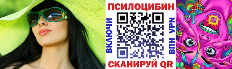 Псилоцибиновые грибы мухоморы  даркнет сайт  Шатура 