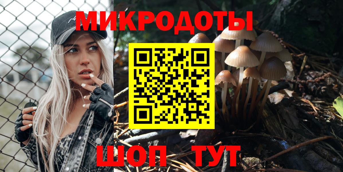 Галлюциногенные грибы Psilocybine cubensis Шатура