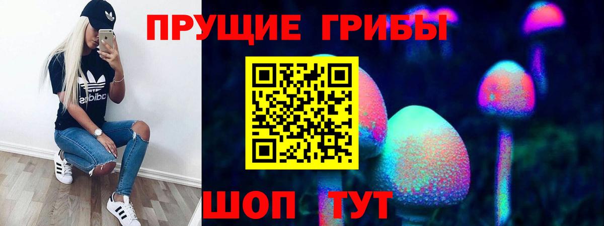 Псилоцибиновые грибы Cubensis Шатура