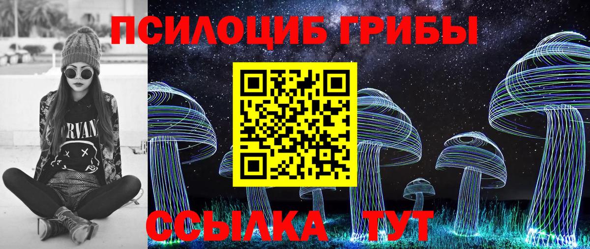 Псилоцибиновые грибы GOLDEN TEACHER  Вход с VPN  Шатура 