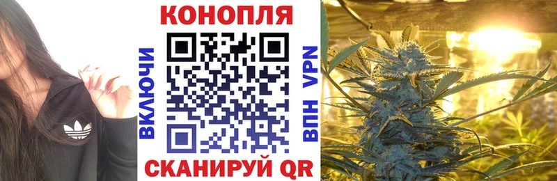hydra tor  Шатура  Марихуана планчик 